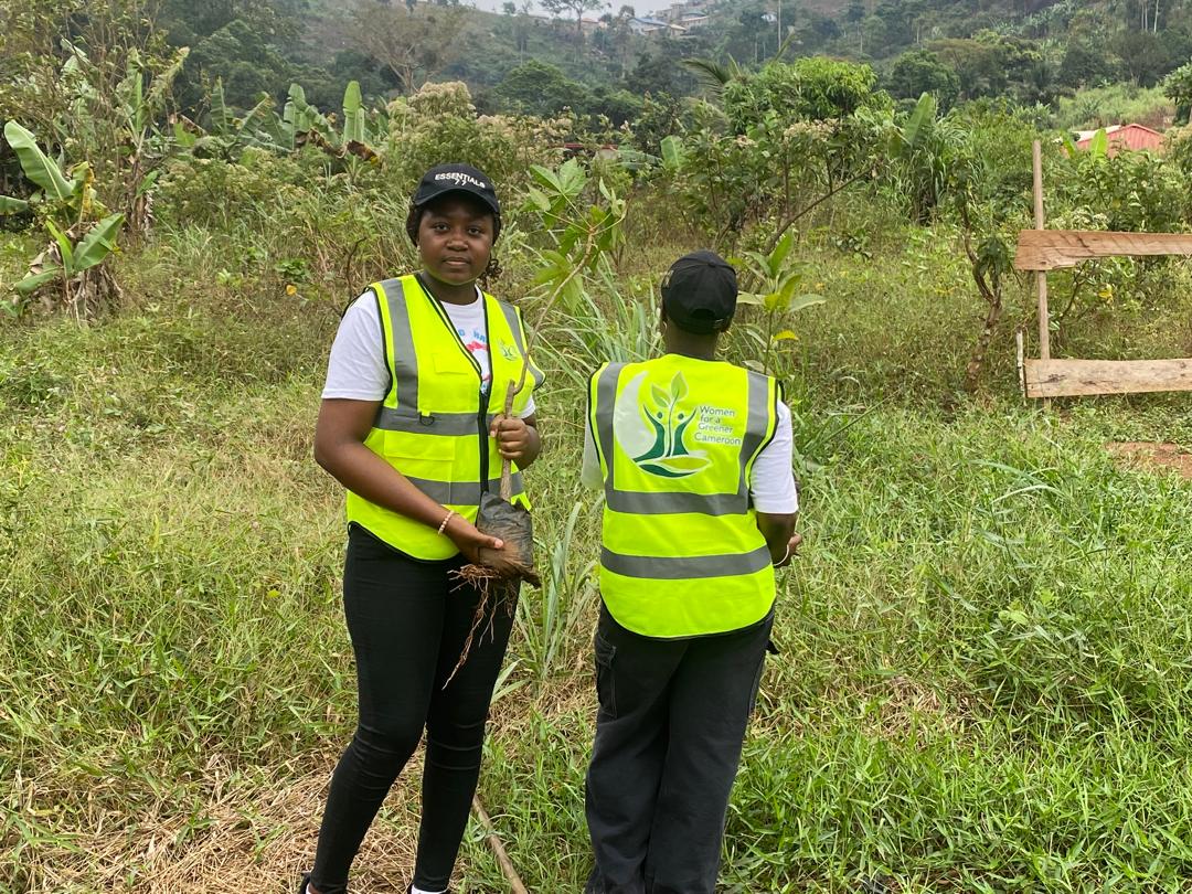 Carrying a seedling out to the field