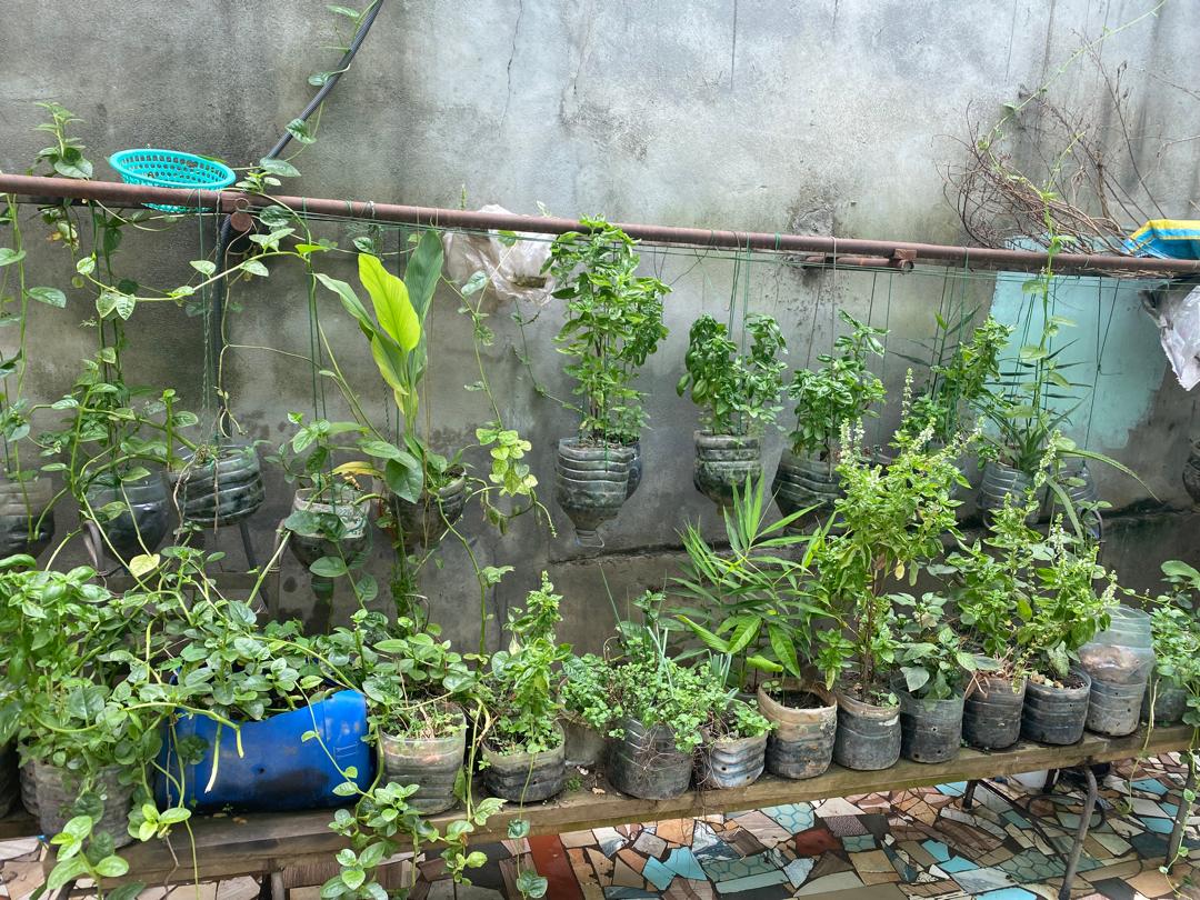 Recycled-container nursery wall